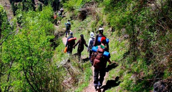 Kasol