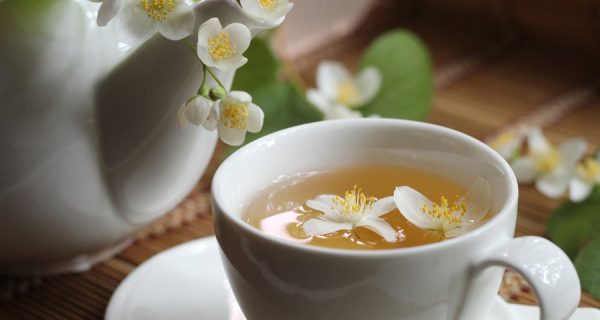 Exploring the Blissful Fusion of Green Tea and Jasmine Flowers