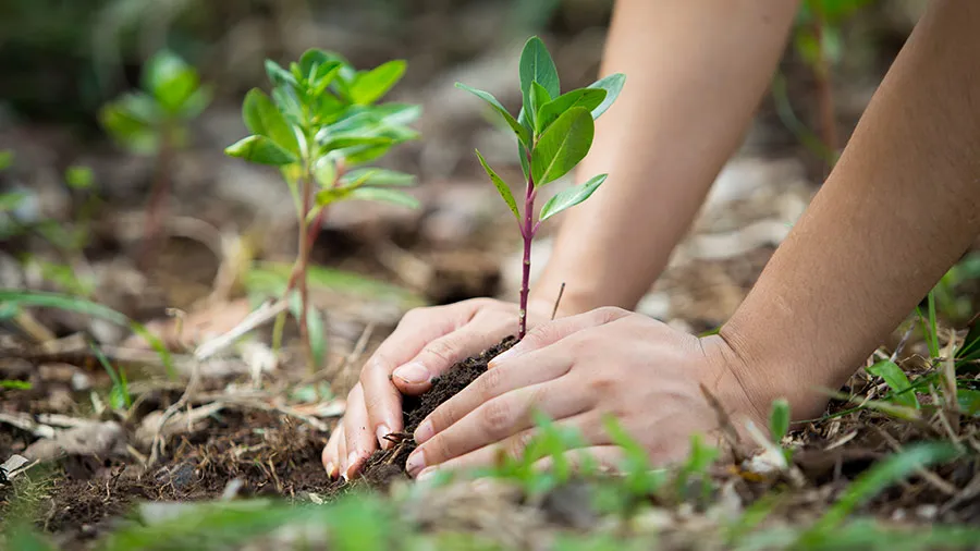 How Do Feminine Hygiene Services Enhance Corporate Social Responsibility